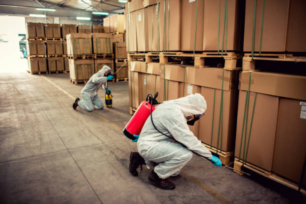 Best Mosquito Control Services  in Winnie, TX