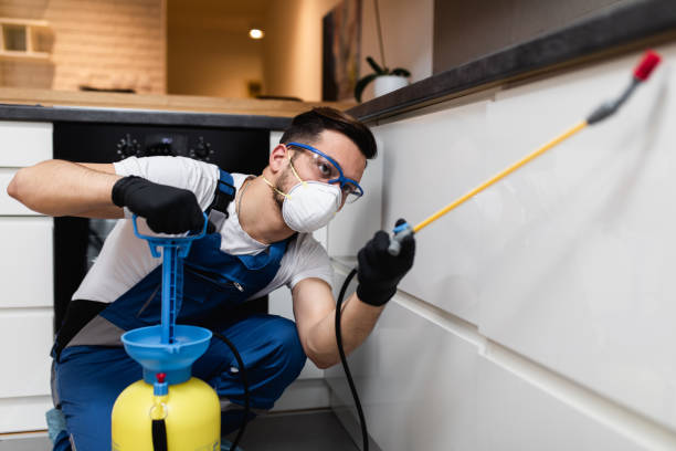 Best Wildlife Control Services  in Winnie, TX