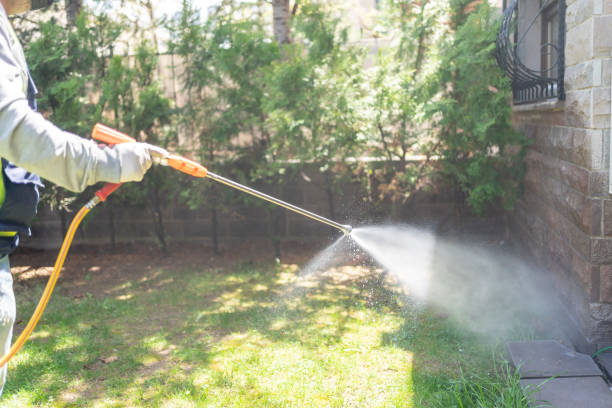 Best Pest Removal Services  in Winnie, TX
