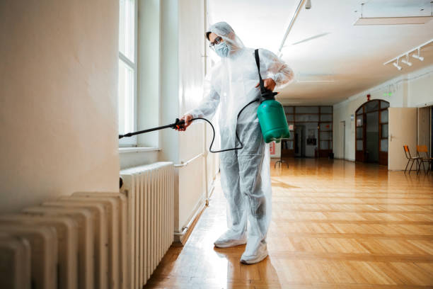 Best Affordable Pest Control Services  in Winnie, TX
