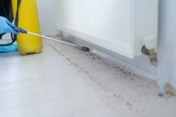 Best Exterminator Services  in Winnie, TX