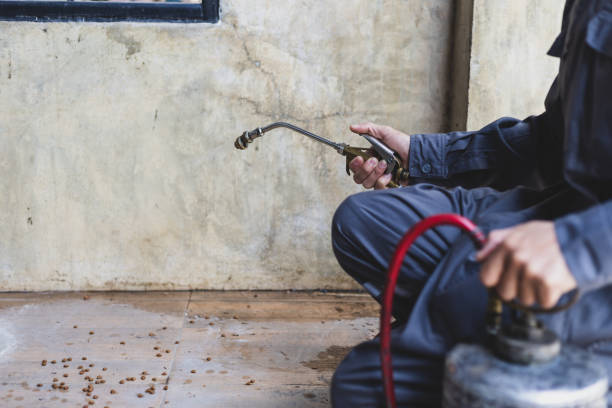 Best Local Pest Control Services  in Winnie, TX